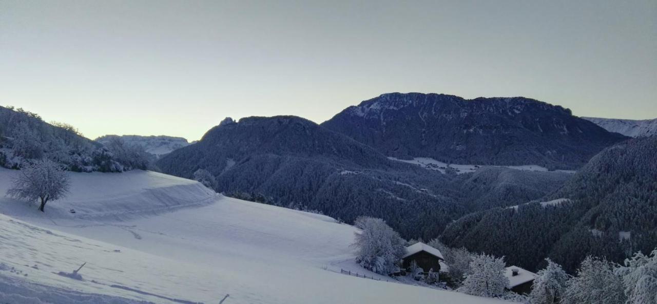 Alpine Chalet Aurora Dolomites 莱恩 外观 照片